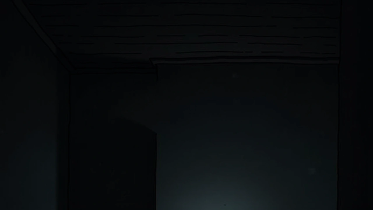 Illustration: An old house's ceiling in dim light, faint shadows suggesting movement above.
