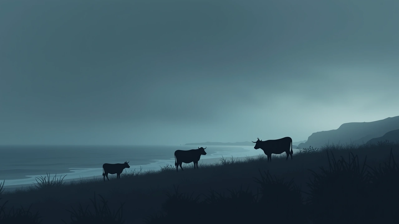 Illustration: a coastal pasture at dusk, cows grazing above a grey shoreline.